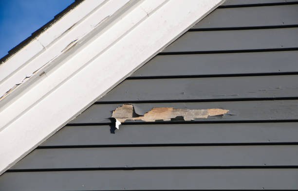 Best Residential Junk Removal  in Cutlerville, MI
